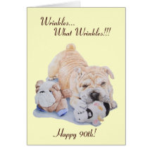 Cute puppes shar pei-hund och teddy 90:e