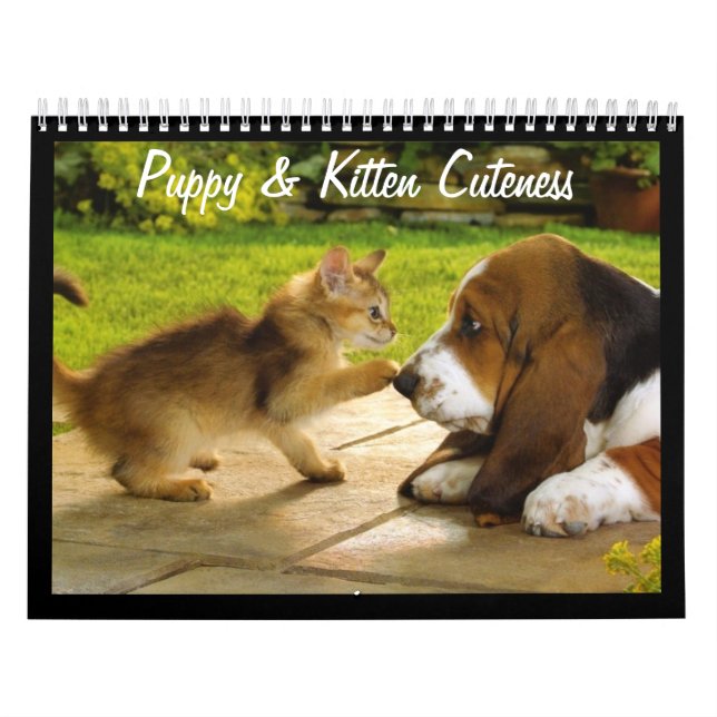 Cute Puppies and Kittens 2018 Calendar Kalender (Omslag)