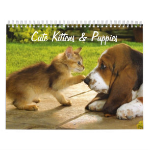 Cute Puppies and Kittens Calendar Kalender
