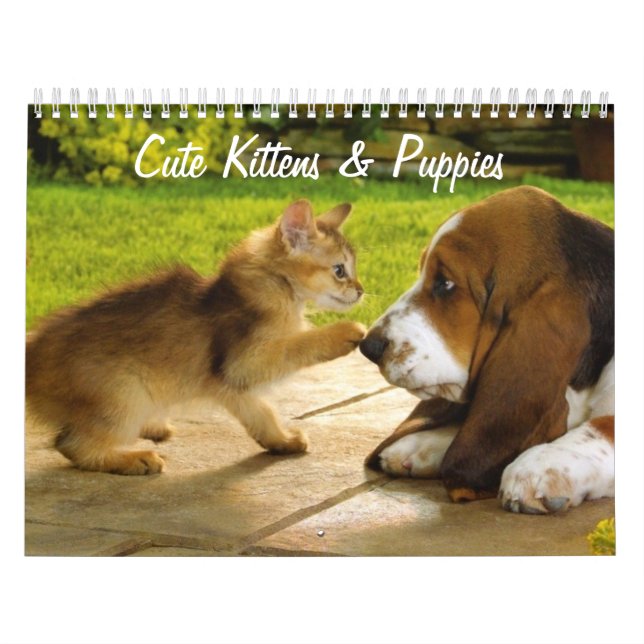 Cute Puppies and Kittens Calendar Kalender (Omslag)