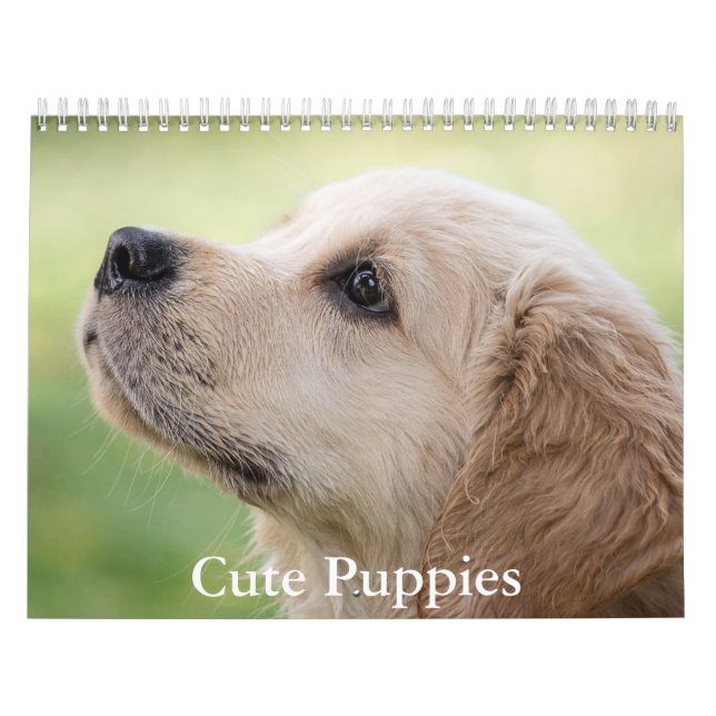 Cute Puppies Calendar Kalender (Omslag)