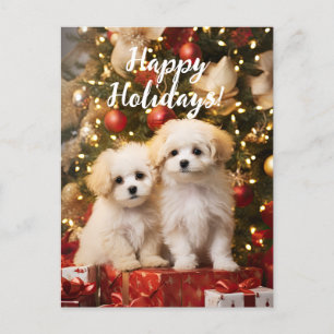 Cute Puppies Hundar Glad helg, jul Vykort