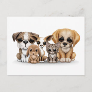 Cute Puppies, Kitten och Bunny Pet Porträtt White Vykort