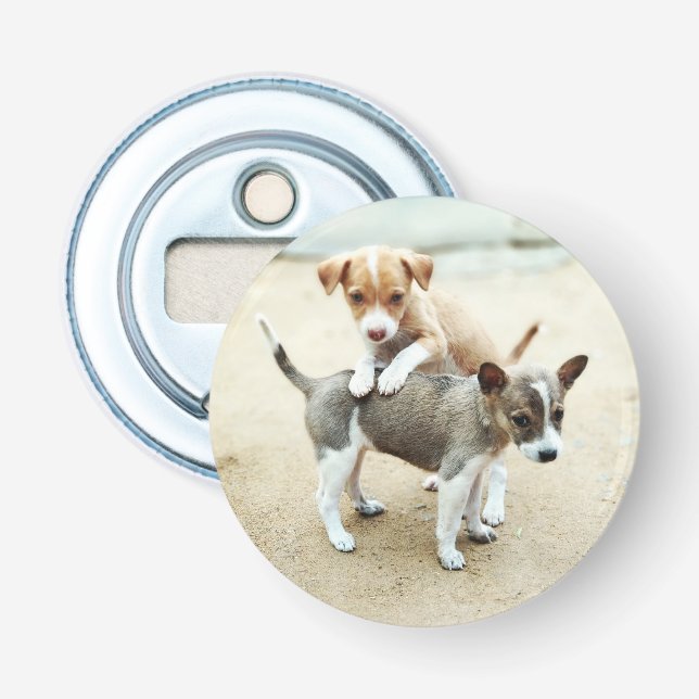 Cute Puppies spelar på persikor Flasköppnare (Framsidan)