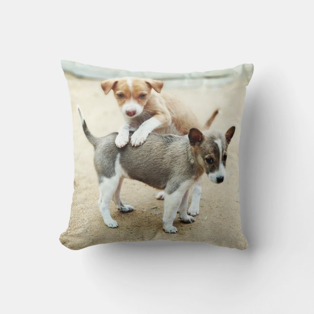 Cute Puppies spelar på persikor Kudde (Framsida)