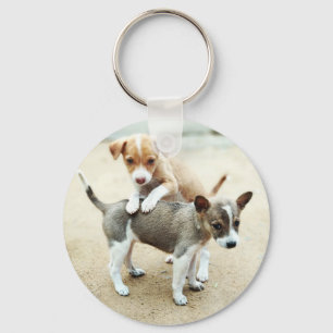 Cute Puppies spelar på persikor Nyckelring