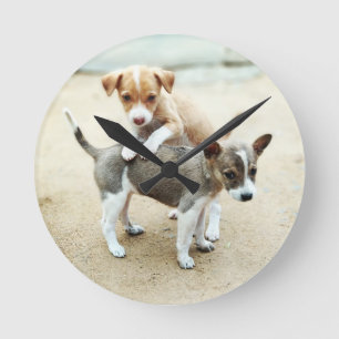 Cute Puppies spelar på persikor Rund Klocka