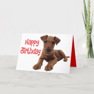 Cute Puppy Airedale Terrier-Hund Kort