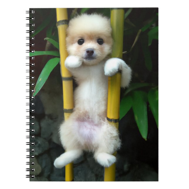 Cute Puppy bärbar dator Gaejook 개 죽 이 Anteckningsbok (Framsidan)