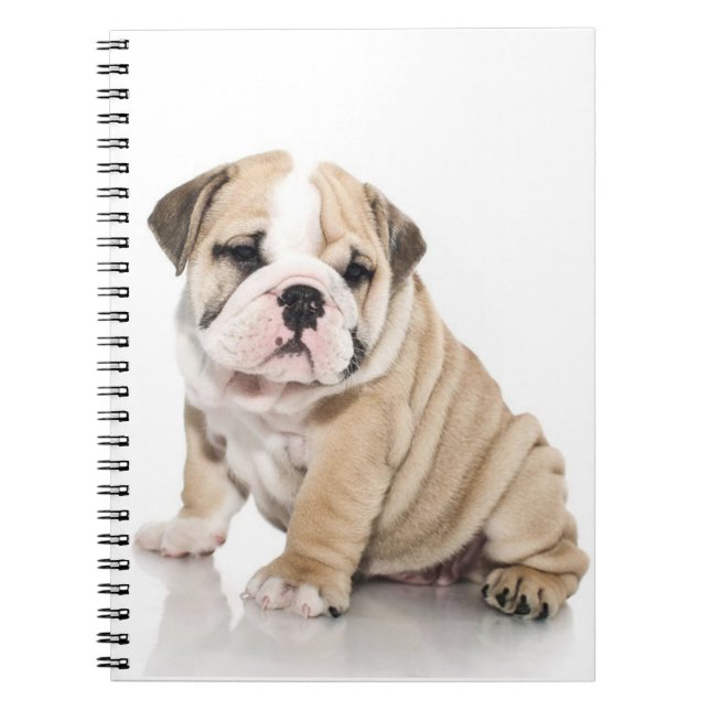 Cute Puppy Bulldog-Ledsen Anteckningsbok (Framsidan)