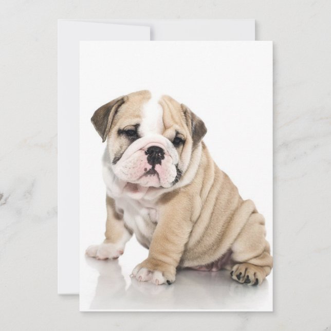 Cute Puppy Bulldog-Ledsen Julkort (Framsida)
