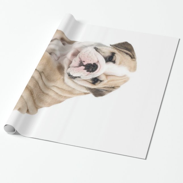 Cute Puppy Bulldog-Ledsen Presentpapper (Utrullad)