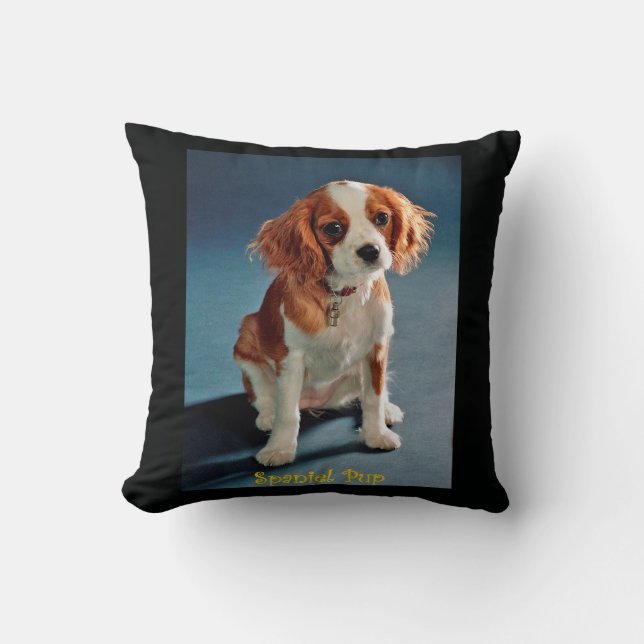 Cute Puppy Charles ~ Cavalier Kung spanel ~ & ~ Kudde (Framsida)