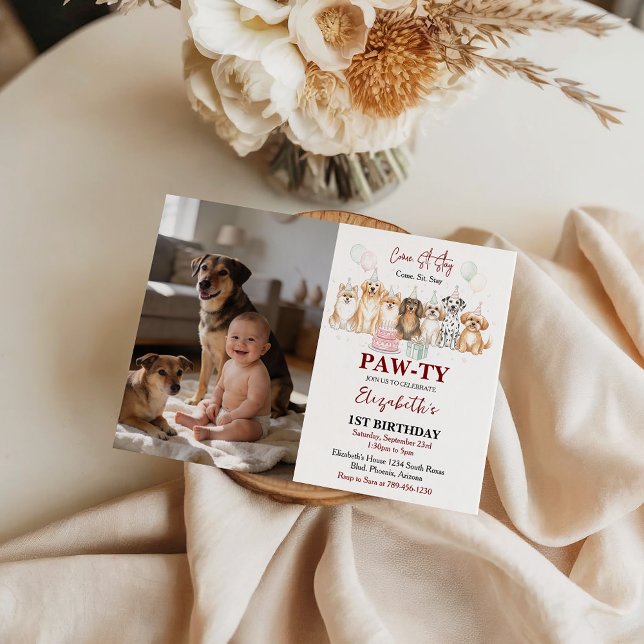 Cute Puppy Dog Boy 1st Birthday | Pawty Time First Inbjudningar (Cute Puppy Dog Boy 1st Birthday | Pawty Time First Invitation)