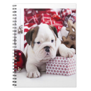 Cute Puppy English Bulldog Fruktansvärd jul Anteckningsbok