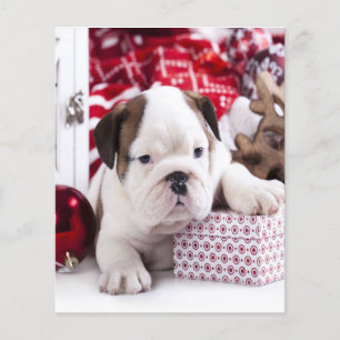 Cute Puppy English Bulldog Fruktansvärd jul Flygblad