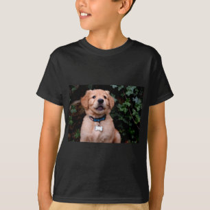 Cute puppy-foto Golden Retriever Puppy T Shirt