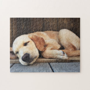Cute Puppy Gult Labrador Pussel