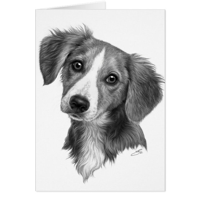 Cute Puppy! Hälsningskort (Framsidan)