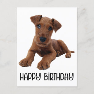 Cute Puppy Hund Airedale Terrier Birthday Vykort