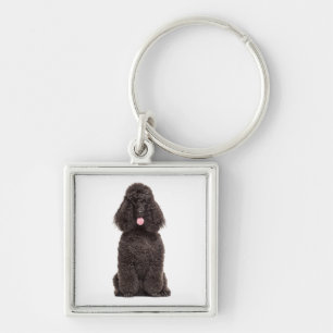 Cute Puppy Hund älskare Black Pudel Fyrkantig Silverfärgad Nyckelring