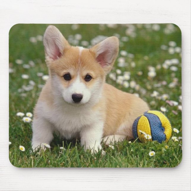Cute Puppy Hund älskare Gift Pembroke Welsh Corgi Musmatta (Framsidan)