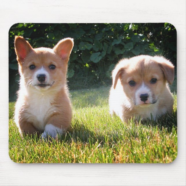 Cute Puppy Hund älskare Gift Pembroke Welsh Corgi Musmatta (Framsidan)