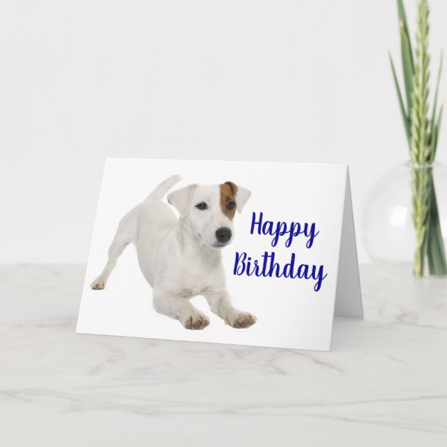 Cute Puppy Hund älskare Jack Russell Terrier Birth Kort (Framsida)