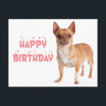 Cute Puppy Hund Bday Funny Chihuahua Birthday Vykort<br><div class="desc">Det har aldrig varit lättare att skicka födelsedagstävlingar till vänner och familj än med det här söta Chihuahua-valpen hund hälsning-vykortet. Brevkort från hund är perfekter för * Hälsningskort * Företag - veterinärer, groomer, tränare, uppfödare, vandrare * räddings- och adoptionsprogram * Personanteckningar till vänner och familj * insamlare och välgörenhetsorganisationer. Rulla...</div>