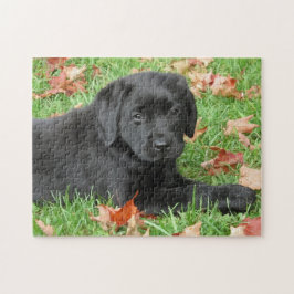 Cute Puppy Hund Black Labrador Retriever Pussel