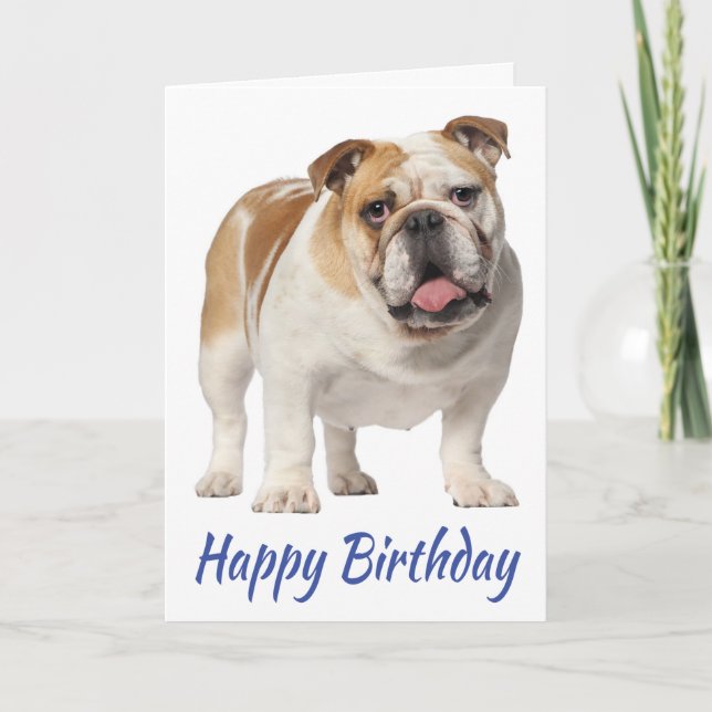 Cute Puppy Hund English Bulldog Birthday Kort (Framsida)