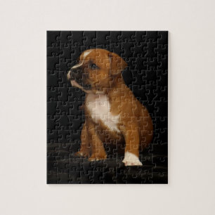 Cute Puppy Hund English StaffordBull Terrier Pussel