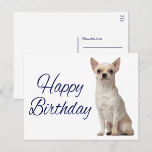 Cute Puppy Hund Funny Chihuahua Birthday Postcard Vykort
