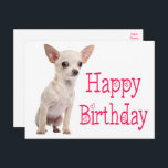 Cute Puppy Hund Funny Chihuahua Birthday  Vykort<br><div class="desc">Det har aldrig varit lättare att skicka födelsedagsmorgon till vänner och familj än med detta söta Chihuahua-valp med Grattis på födelsedagen hälsning-vykort, Hund-födelsedagskort är perfekt för * hälsningskort * företag - veterinärer, tränare, uppfödare, valare * hund- och adoptionsprogram * personliga anteckningar till vänner och familj * insamlare och välgörenhetsorganisationer. Rulla...</div>