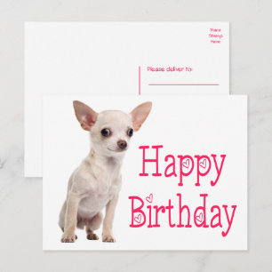 Cute Puppy Hund Funny Chihuahua Birthday  Vykort