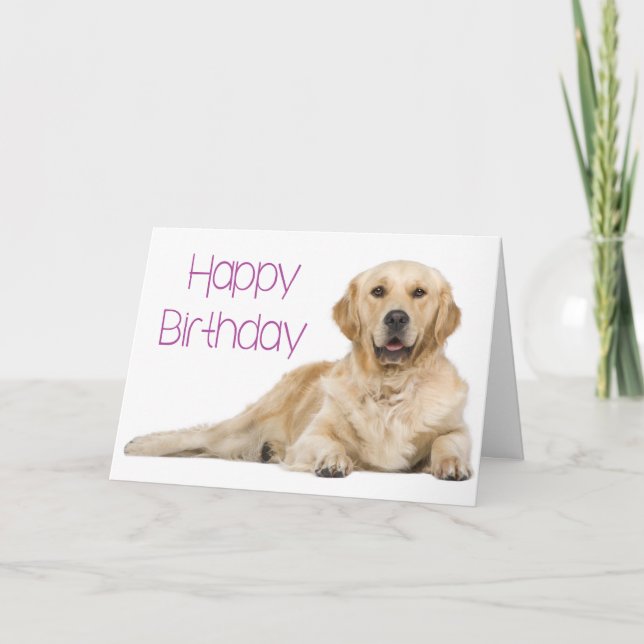 Cute Puppy Hund Golden Retriever Birthday Kort (Framsida)