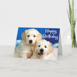 Cute Puppy Hund Golden Retriever Grattis på födels Kort