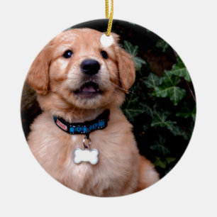 Cute puppy hund Golden Retriever Puppy Julgransprydnad Keramik