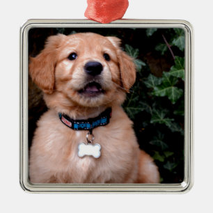 Cute puppy hund Golden Retriever Puppy Julgransprydnad Metall