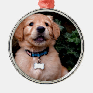 Cute puppy hund Golden Retriever Puppy Julgransprydnad Metall
