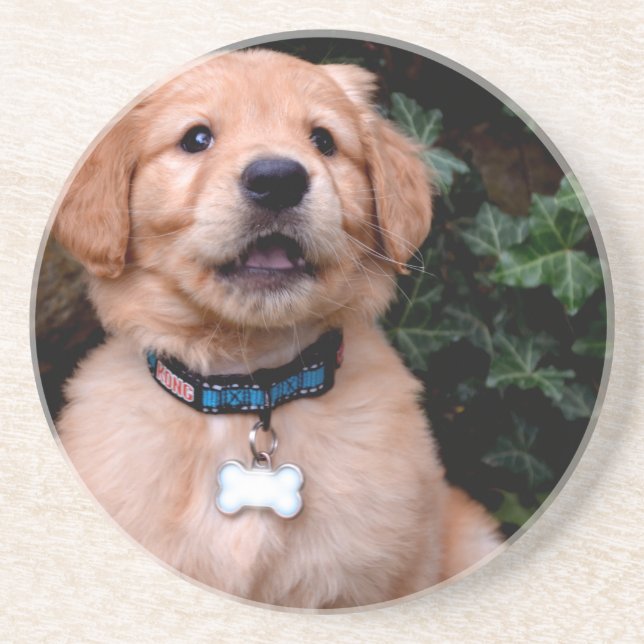 Cute puppy hund Golden Retriever Puppy Underlägg (Framsidan)
