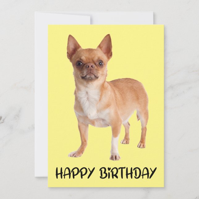 Cute Puppy Hund Gult Funny Chihuahua Birthday Kort (Framsida)