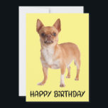 Cute Puppy Hund Gult Funny Chihuahua Birthday Kort<br><div class="desc">Det har aldrig varit lättare att skicka födelsedagstävlingar till vänner och familj än med det här söta hälsningskortet Chihuahua puppy hund Grattis på födelsedagen. Brevkort från hund är perfekter för * Hälsningskort * Företag - veterinärer, groomer, tränare, uppfödare, vandrare * räddings- och adoptionsprogram * Personanteckningar till vänner och familj *...</div>