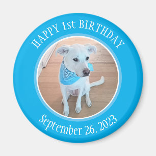 Cute Puppy Hund i Blue Scarf Lycklig 1:a födelseda Magnet
