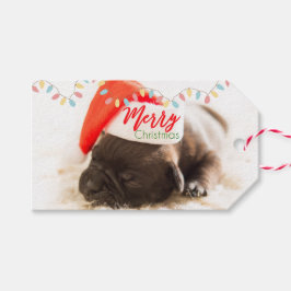 Cute Puppy-Hund i en Red Santa Hat-jul Presentetikett