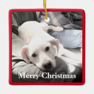 Cute Puppy Hund med Pappa Square Red och Grönt Julgransprydnad Keramik