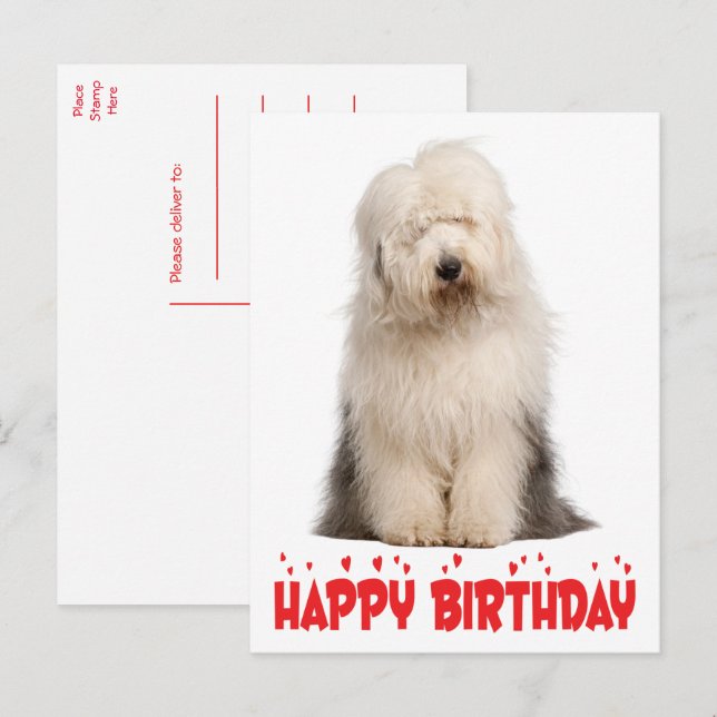 Cute Puppy Hund Old English Sheepdog Birday Post Vykort (Fram/baksida)