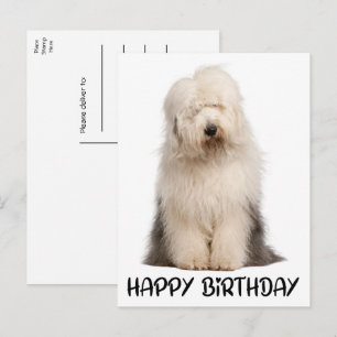 Cute Puppy Hund Old English Sheepdog Birthday Vykort