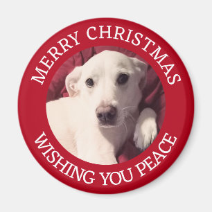Cute Puppy Hund Peace Red Magnet