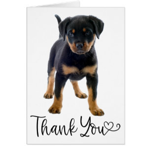 Cute Puppy Hund Rottweiler Tack OBS Kort